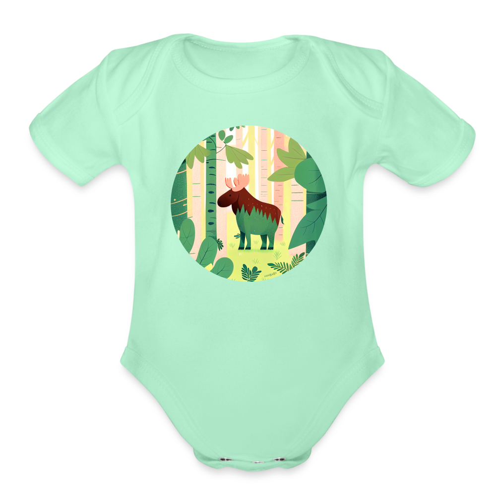 Organic Short Sleeve Baby Bodysuit - Moose - light mint